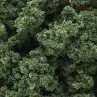 Woodland Scenics . WOO Bushes Clump Foliage Med. Green