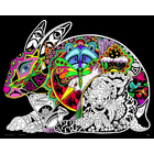 Stuff To Color . SFC 16X20 Velvet Poster Inner Nature Hare Animals Art Calgary