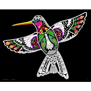 Stuff To Color . SFC 16X20 Velvet Poster Inner Nature Hummingbird
