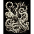 Royal (art supplies) . ROY Glow In Dark Engraving Octopus Nature Animals Art Calgary