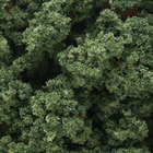 Woodland Scenics . WOO Clump Foliage Medium Green