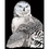Royal (art supplies) . ROY Engrave Art Silver - Snowy Owl