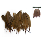 CraftMedley . CMD 8" Goose Feathers x12 C) Brown