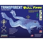 Lindberg . LND (DISC) TRANSPARENT BULLFROG