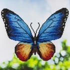 Leisure Arts . LSA Butterfly Diamond Art (Intermediate) Nature Animals Calgary