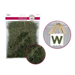 Craft Decor . CDC Dried Naturals: 50g Reindeer Moss Green