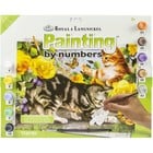 Royal (art supplies) . ROY Kitten Play Junior Paint By Number Animals Nature Calgary