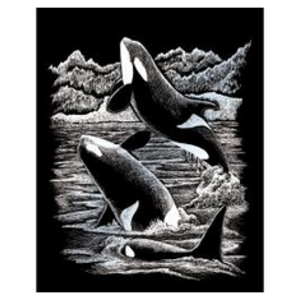 Royal (art supplies) . ROY Engrave Art Silver - Orca Whales