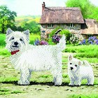 Craft Buddy . CBD Westie Card Crystal Art Kit