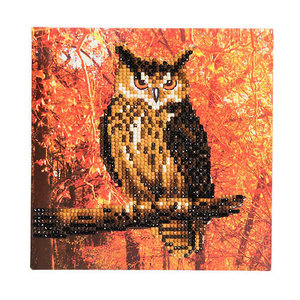 Craft Buddy . CBD Autumn Owl Crystal Art