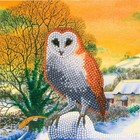 Craft Buddy . CBD Winter Owl Card Crystal Art Kit