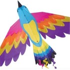 Premier  Kites . PMR 70”x36” Paradise Bird Nylon Kite