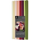 Lia Griffith . LGN Assorted Colors Extra Fine Crepe Paper Assortment 10/Pkg