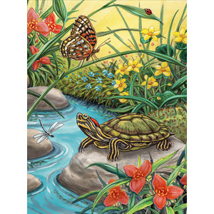 Royal (art supplies) . ROY Paint By Numbers  Red Eared Slider