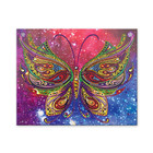 CraftMedley . CMD Butterfly Diamond Art Kit