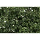 Woodland Scenics . WOO Fine Leaf Foliage Medium Green