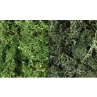 Woodland Scenics . WOO Lichen Dark Green Mix