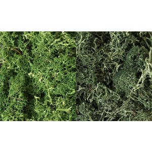 Woodland Scenics . WOO Lichen Dark Green Mix