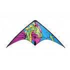 Skydogs Kites . SKK Little Wing, Dragon Kite