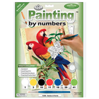 Royal (art supplies) . ROY Bamboo & Parrots - Junior Small Paint By Number Kit