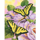 Royal (art supplies) . ROY Swallowtail Butterfiles - Junior Paint By Number