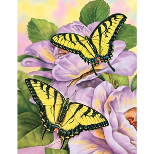Royal (art supplies) . ROY Swallowtail Butterfiles - Junior Paint By Number