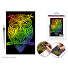 CraftMedley . CMD Deluxe Engraving Art Rainbow Owl