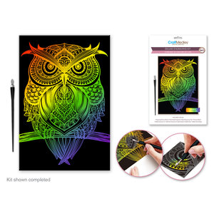 CraftMedley . CMD Deluxe Engraving Art Rainbow Owl