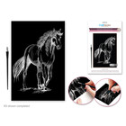 CraftMedley . CMD Deluxe Engraving Art Metallic  Horse