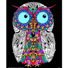 Stuff To Color . SFC 16 x 20 Velvet Owl Nature Animals Colorable Art