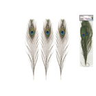 CraftMedley . CMD 10"-14" Real Peacock Feathers 2/pk