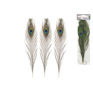CraftMedley . CMD 10"-14" Real Peacock Feathers 2/pk