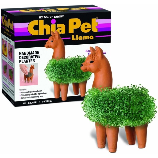 Chia Llama