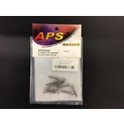 APS Racing . APS APS Stainless Steel SOCKET Hex Screws, 4x20mm, 10 pcs