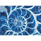 Diamond Dot . DDT Blue Nautilus - Diamond Art Kit