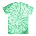 Tulip . TUP Tulip One-Step Tie-Dye Kit Green