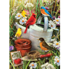 Royal (art supplies) . ROY Garden Birds Paint by Number