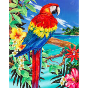 Royal (art supplies) . ROY Paint By Number Scarlet Macaw
