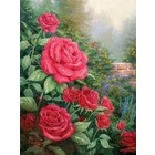 Craft Buddy . CBD A perfect Red Rose - Paint by Number