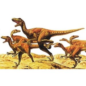 Tamiya America Inc. . TAM 1/35 Velociraptors (6)