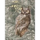 RIOLIS . RIO Stamped Cross Stitch Kit 11.75"X15.75" Eagle Owl