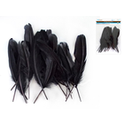 CraftMedley . CMD 8" Goose Feathers x12 A) Black