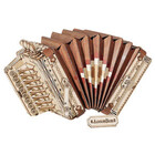 Robotime . ROE Musical Instruments; Accordion