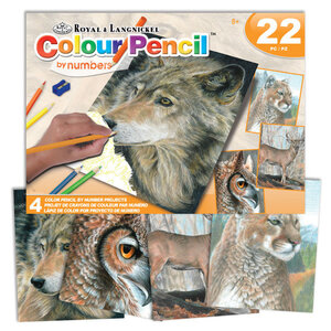 Royal (art supplies) . ROY American Wildlife - Colour Pencil by Number