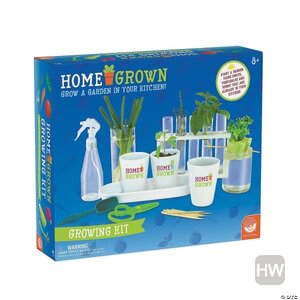 MindWare . MIW Home Grown Growing Kit