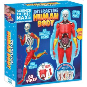 Science To The Max . STT Interactive Human Body