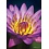 Trefl (puzzles) . TRF 1000 PIECE 'NATURE' WATER LILY PUZZLE
