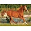 Trefl (puzzles) . TRF 500 PIECE THE BEAUTY OF GALLOP PUZZLE