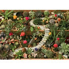 Cobble Hill . CBH Succulent Garden 1000pc Puzzle