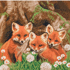 Craft Buddy . CBD CA Mounted Kit (Md) Fox Cubs